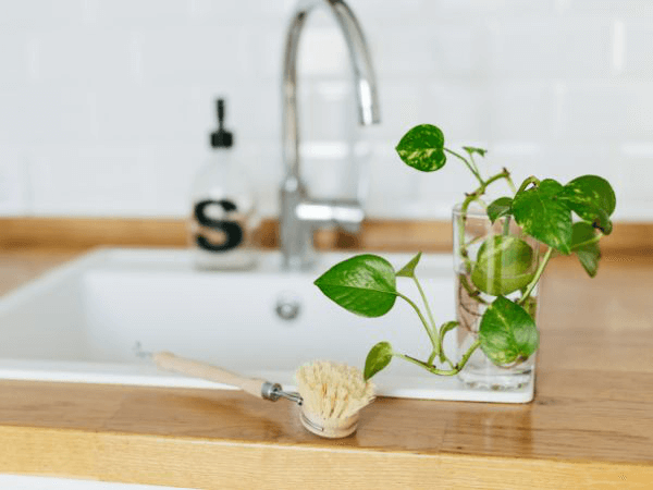 Bamboo Countertops